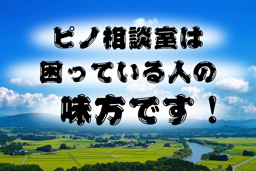 ピノ相談室へようこそ